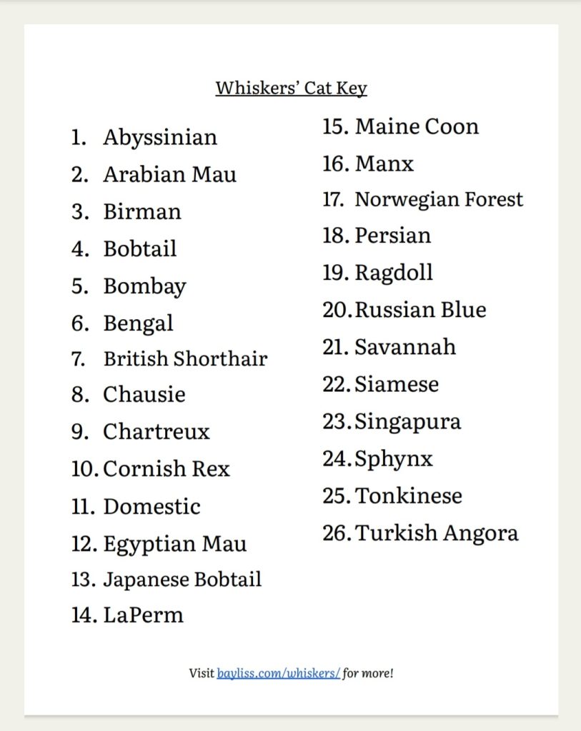 Cat breed word search answer key.