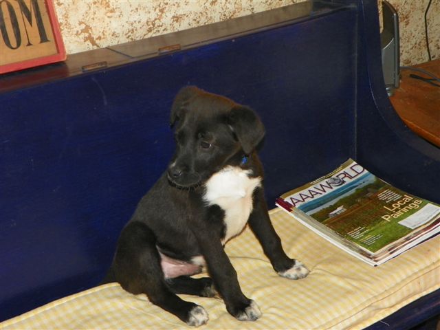 4-mo. Jupiter