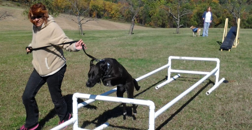 Jupiter running an obstacle course.