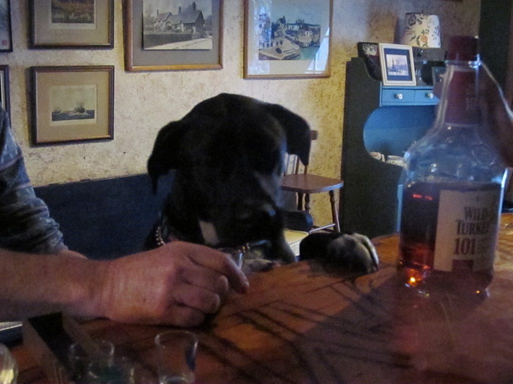 Jupiter at the bar.